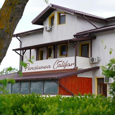Pensiunea Califar Dunavatu de Jos Exterior photo